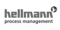 hellmann prozess management